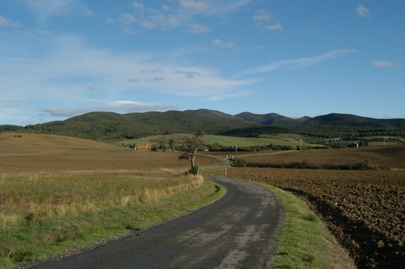 BIBBONA CAMPAGNA